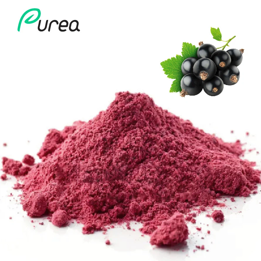 Acai Berry Extract Powder Factory