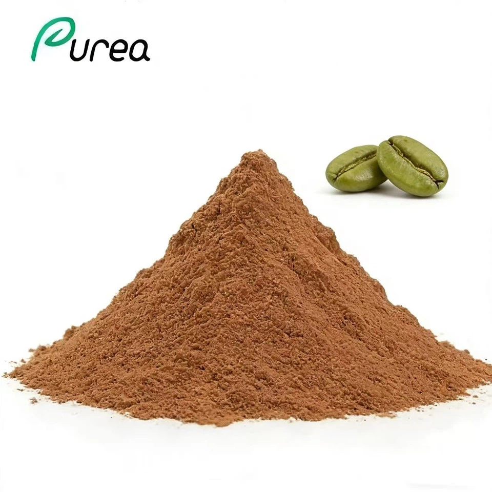 Green Coffee Bean Extract Chlorogenic Acid Powder