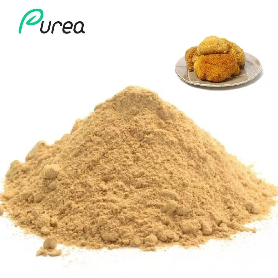 Hericium Erinaceus Mushroom Extract Powder