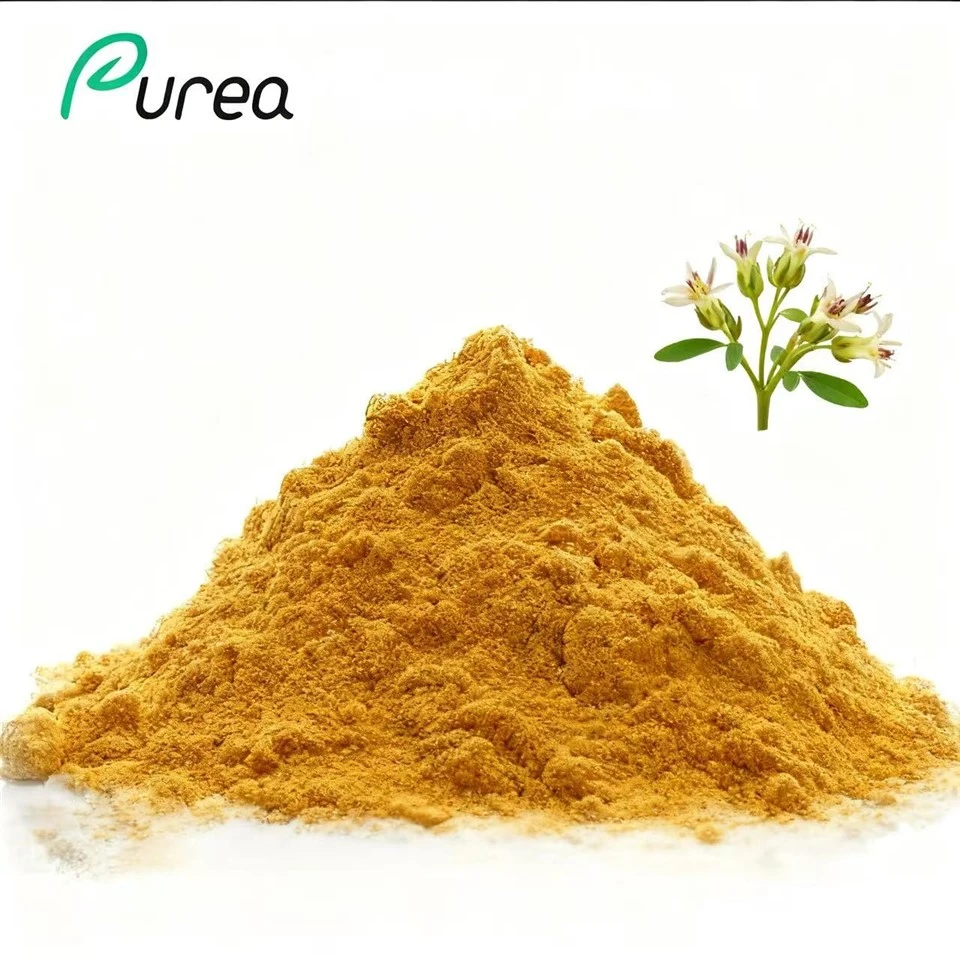 Mullein Leaf Extract Powder