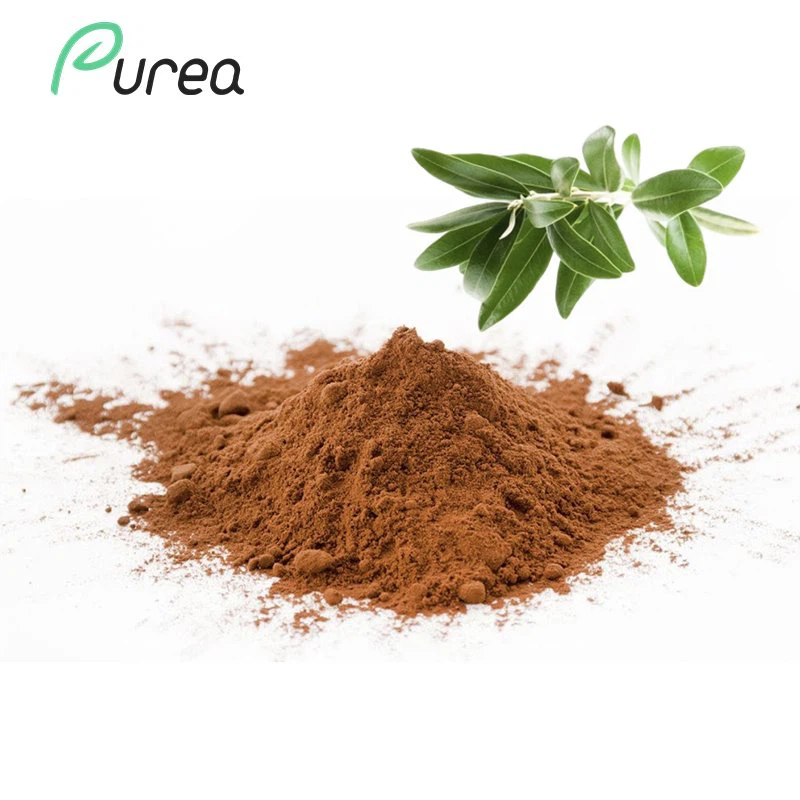 Olive Leaf Extract Powder