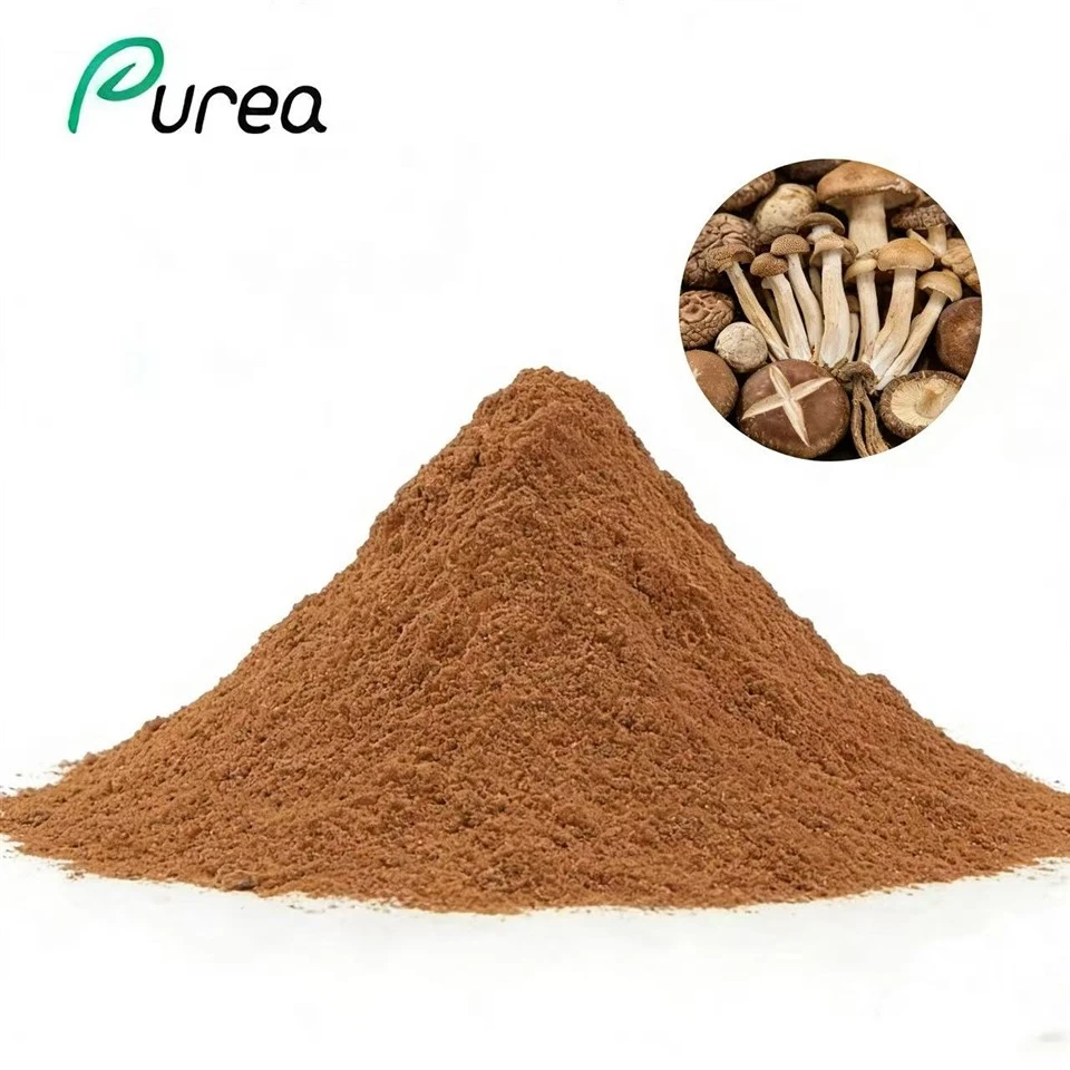 Organic Mushroom Extract Blend Powder