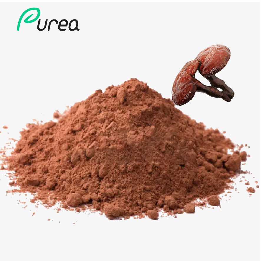 Reishi Mushroom Extract Powder