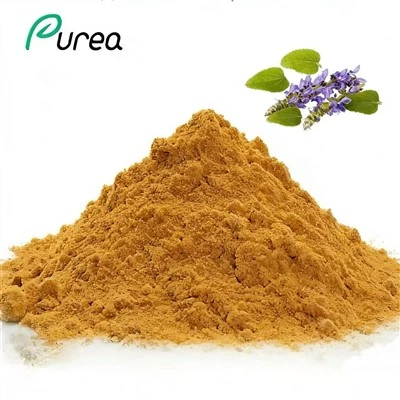 Coleus Forskohlii Extract Powder