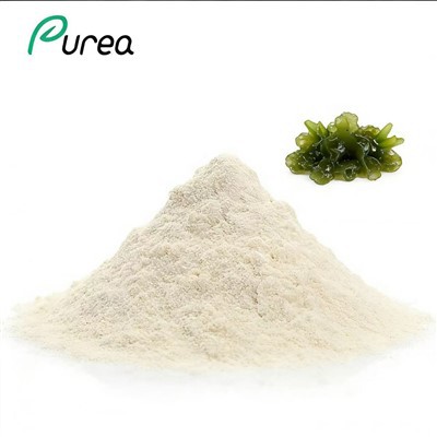 Fucoidan Powder